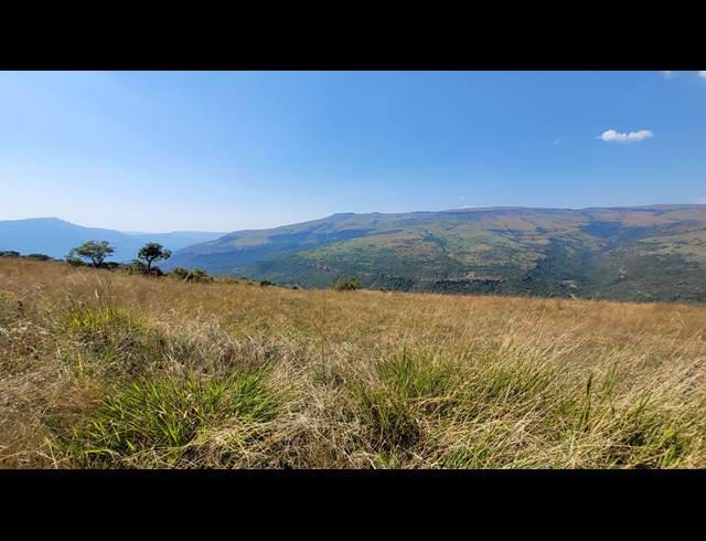 227HA FARM FOR SALE IN NELSPRUIT RURAL